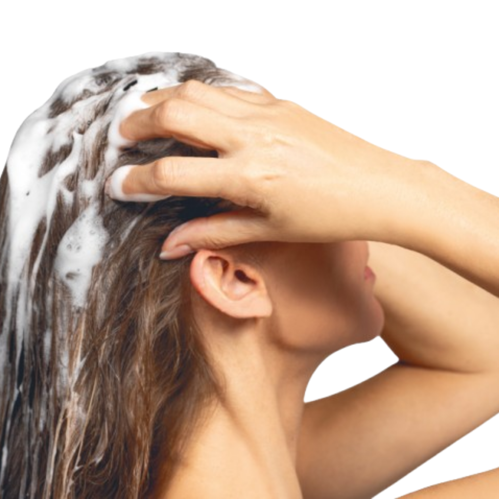 Shampoo con Extractos Herbales de Origen Natural – Limpieza suave y revitalizante