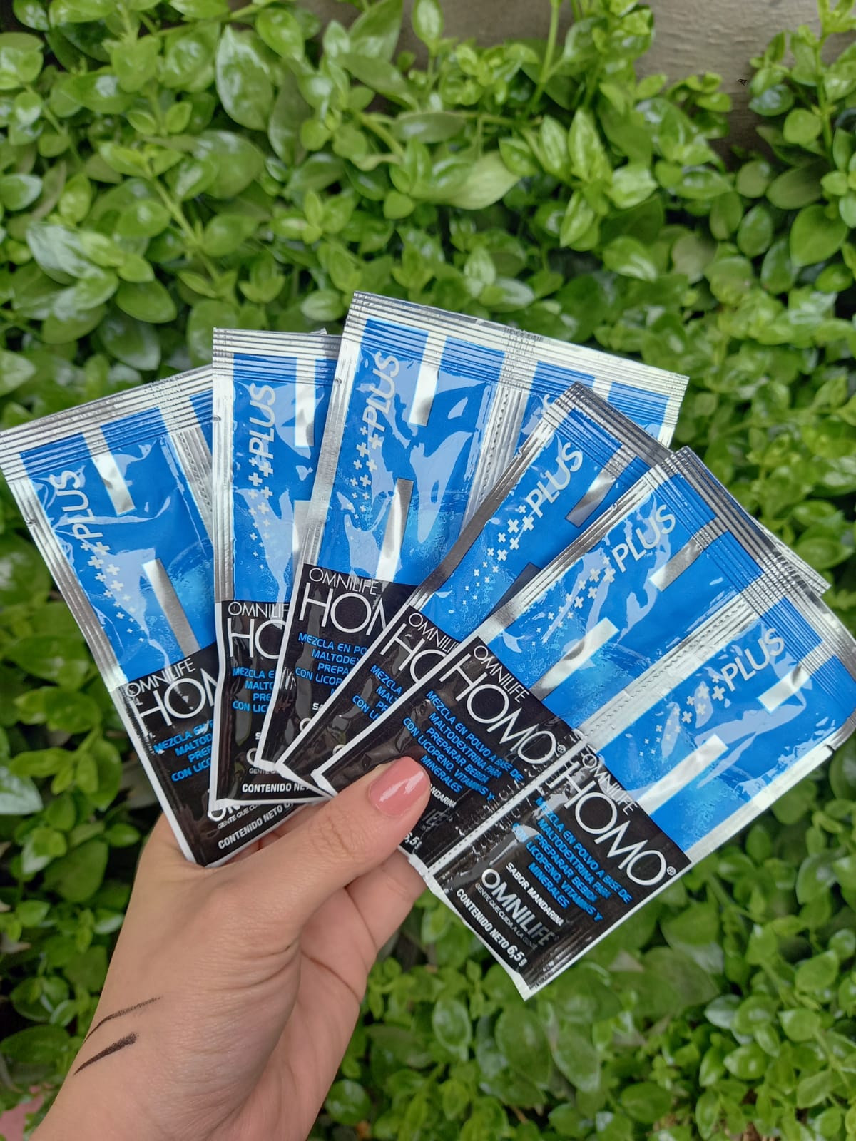 HOMO PLUS: Potencia tu vitalidad masculina desde adentro